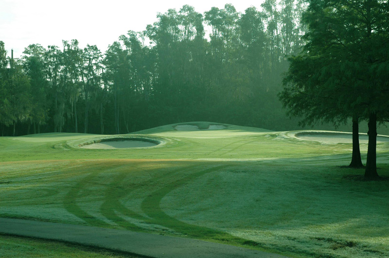 Eastwood Golf Course Greens Edge